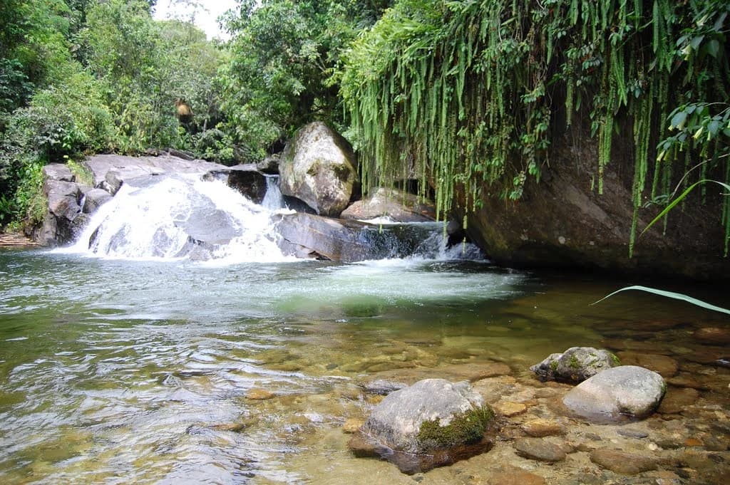 Poço Samambaia 1