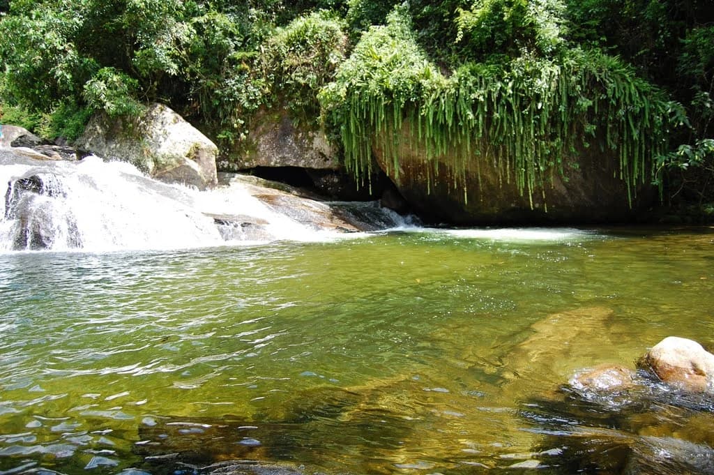 Poço Samambaia 2